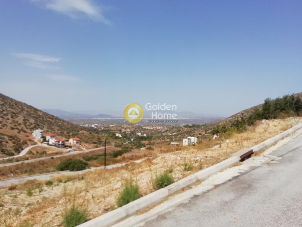 Building Plot in Limni Markopoulou, Markopoulo — Photo 7 of 7
