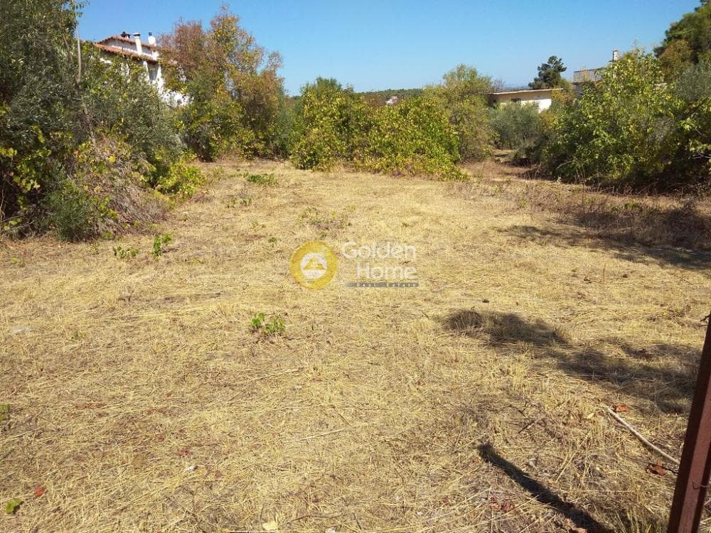 Building Plot in Rodopoli, Rodopoli — Photo 7 of 10