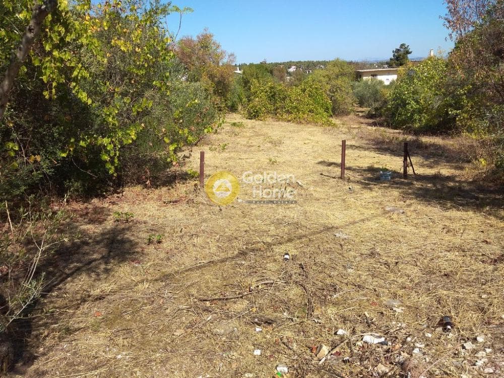 Building Plot in Rodopoli, Rodopoli — Photo 5 of 10