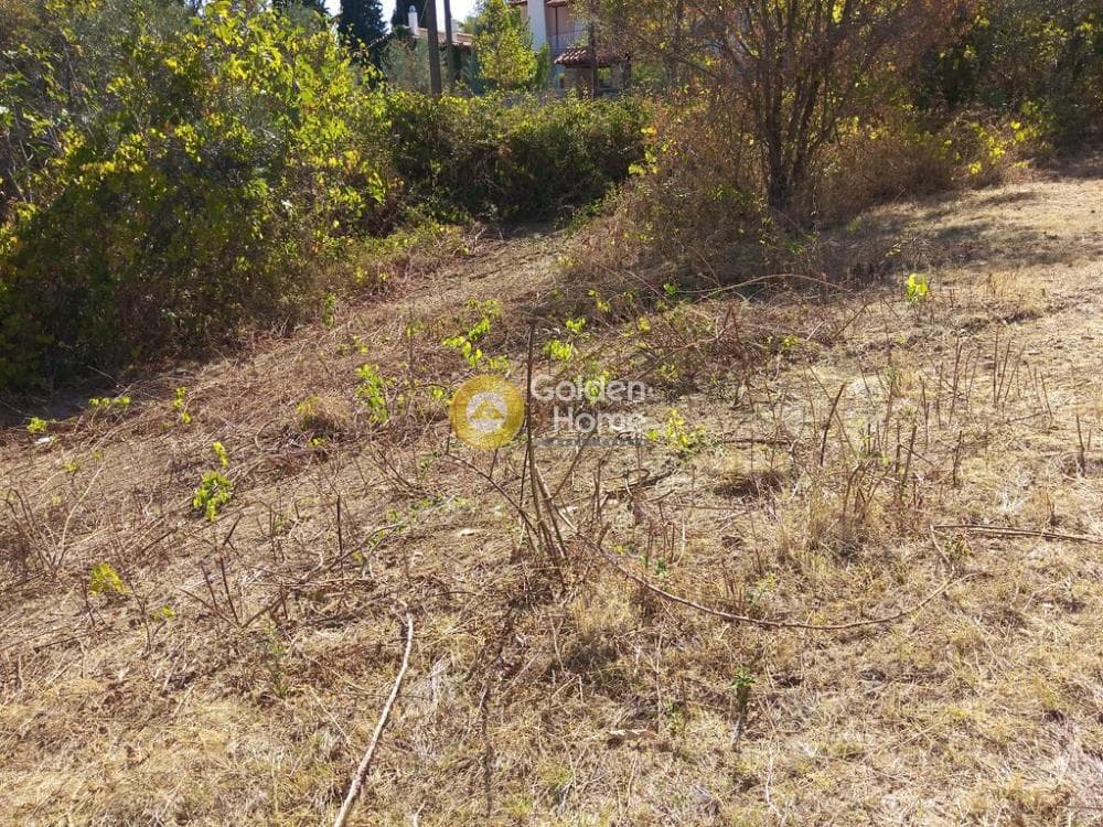Building Plot in Rodopoli, Rodopoli — Photo 9 of 10
