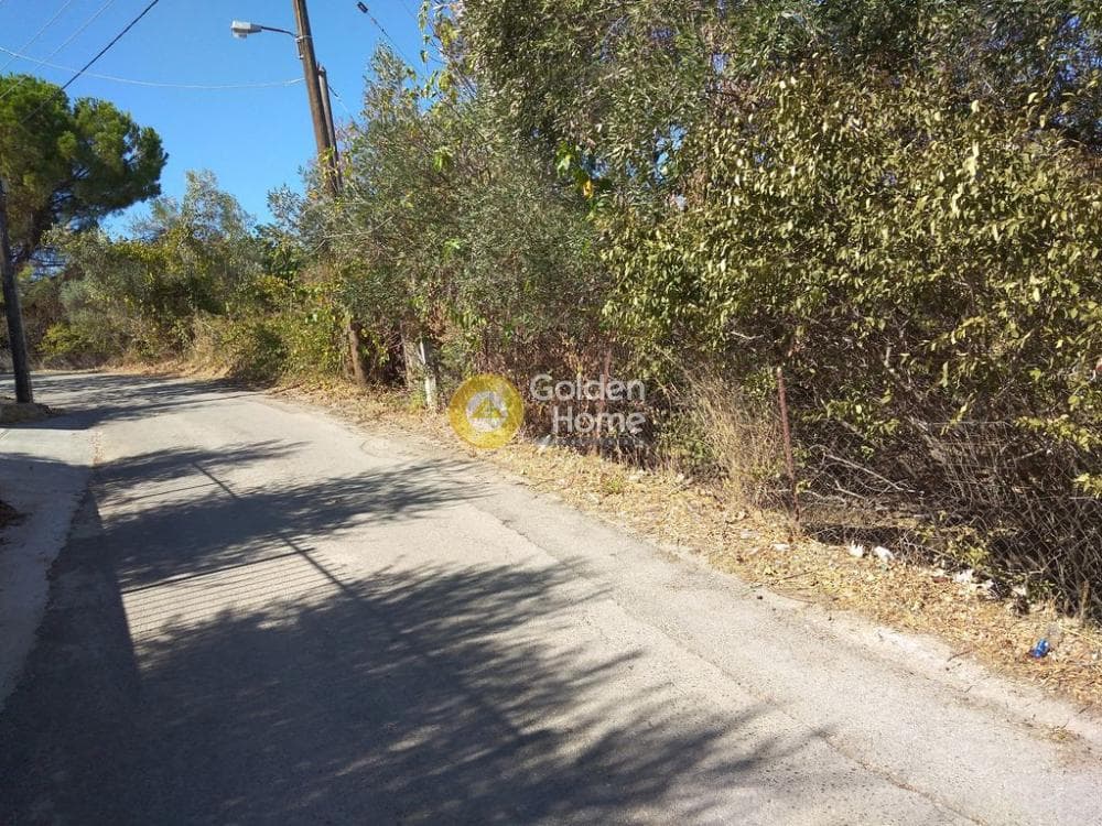 Building Plot in Rodopoli, Rodopoli — Photo 3 of 10