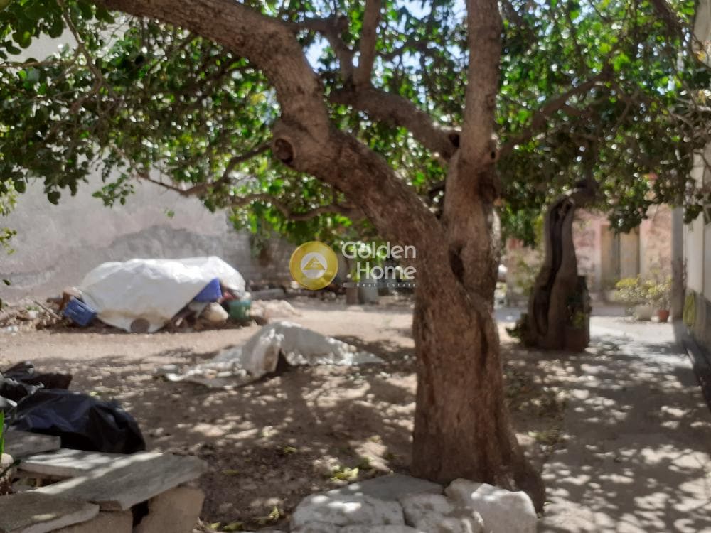 Μονοκατοικία στην Παγώνι, Αίγινα — Φωτογραφία 2 από 3