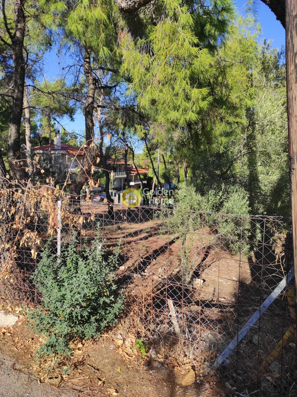 Building Plot in Prokonnisos, Stamata — Photo 4 of 5