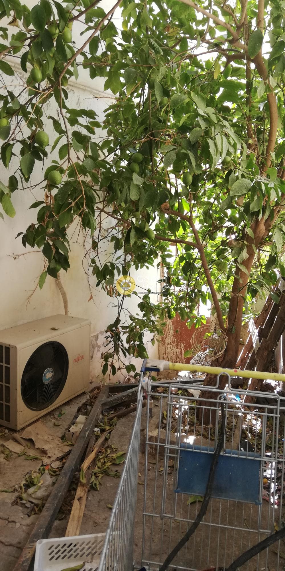 Διαμέρισμα στην Μανιάτικα, Πειραιάς — Φωτογραφία 38 από 38