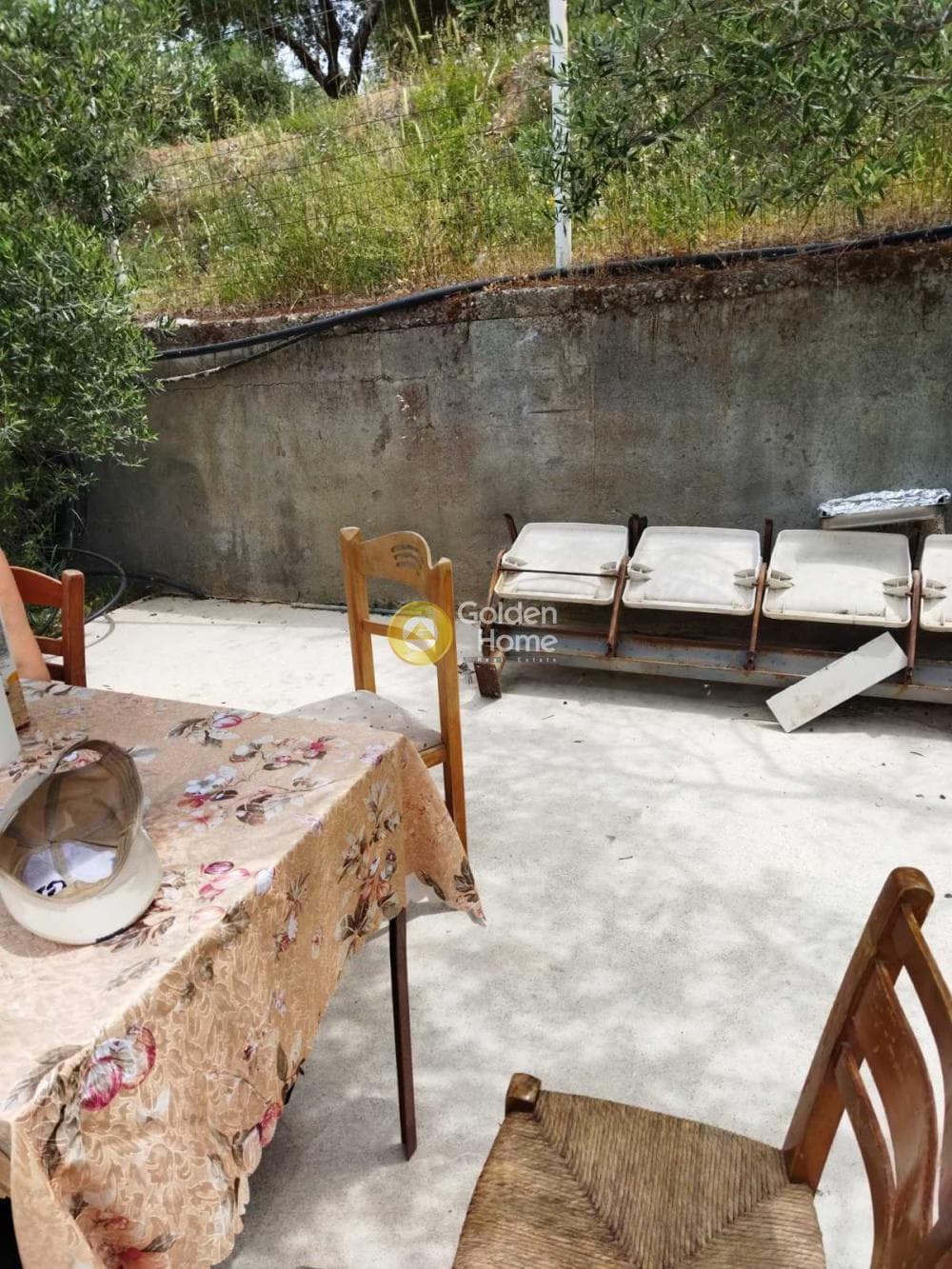 Αγροτεμάχιο στην Δαφνές, Τετραχώρι — Φωτογραφία 4 από 4