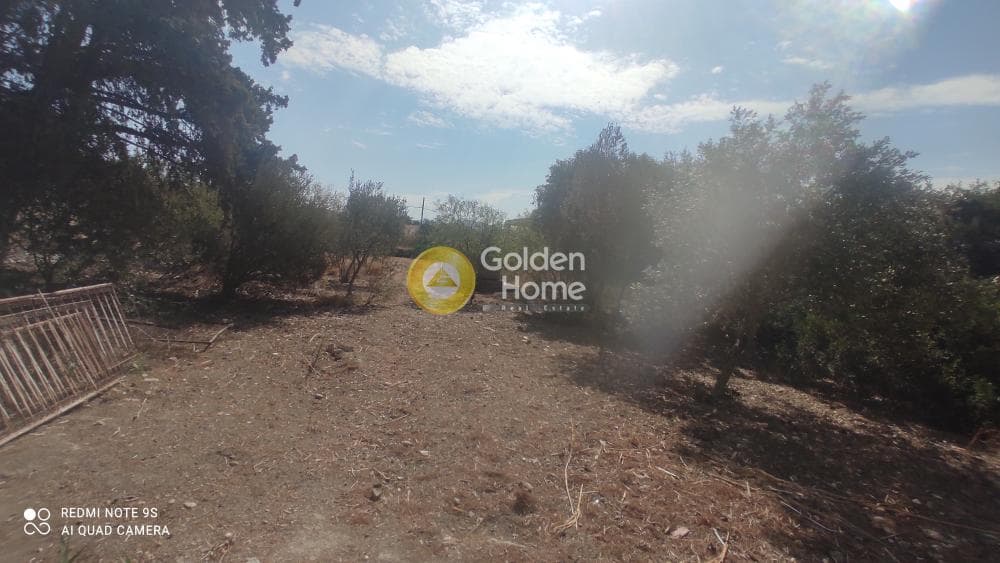 Οικόπεδο στην Καλύβια, Καλύβια Θορικού — Φωτογραφία 3 από 4
