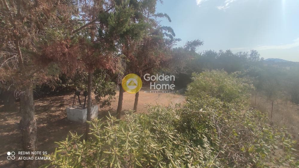 Building Plot in Kalivia, Kalivia Thorikou — Photo 3 of 6
