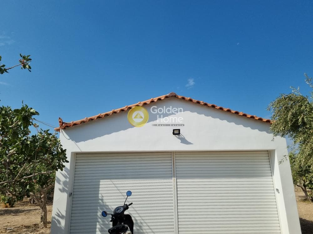 Οικόπεδο στην Κυψέλη, Αίγινα — Φωτογραφία 4 από 7