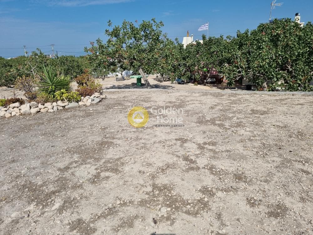 Οικόπεδο στην Κυψέλη, Αίγινα — Φωτογραφία 1 από 7