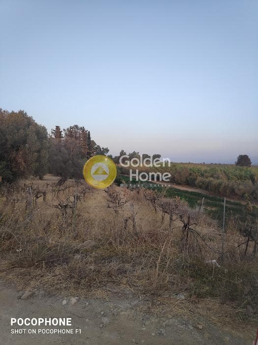 Parcel in Moni Kalivianis, Moires — Photo 2 of 34