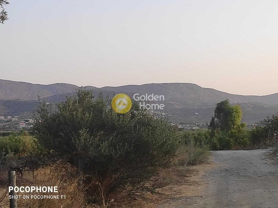 Parcel in Moni Kalivianis, Moires — Photo 16 of 34