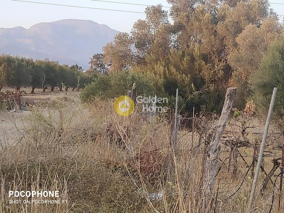 Parcel in Moni Kalivianis, Moires — Photo 22 of 34