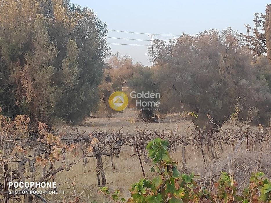 Parcel in Moni Kalivianis, Moires — Photo 23 of 34