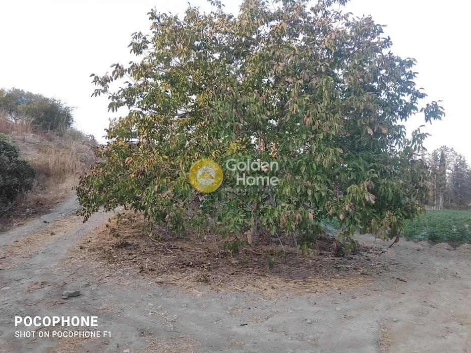 Parcel in Moni Kalivianis, Moires — Photo 28 of 34