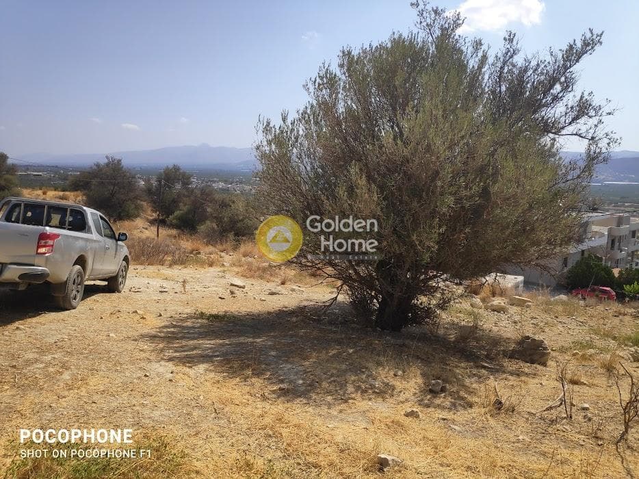 Parcel in Kappariana, Moires — Photo 8 of 19