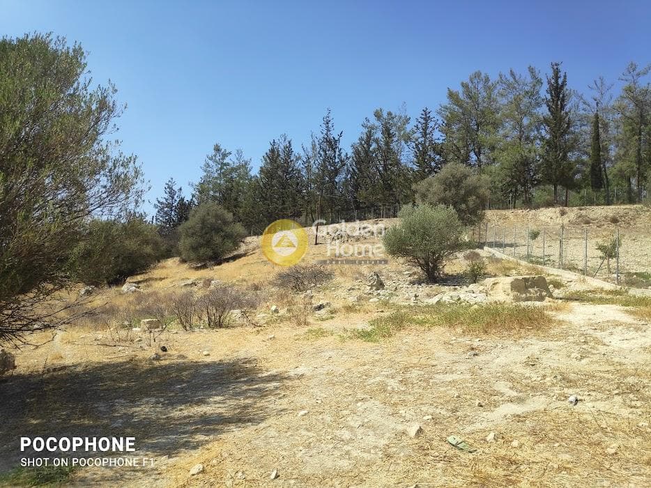 Parcel in Kappariana, Moires — Photo 6 of 19