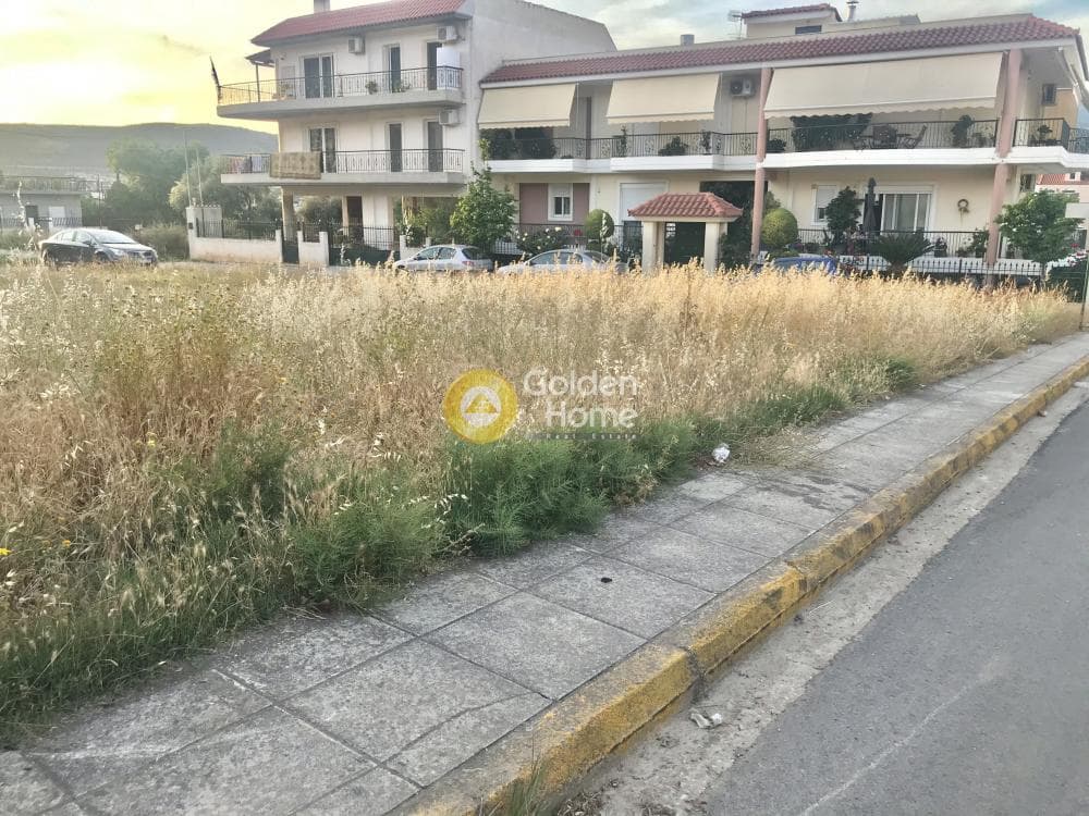 Οικόπεδο στην Νέα Ολυμπία, Καματερό — Φωτογραφία 6 από 31