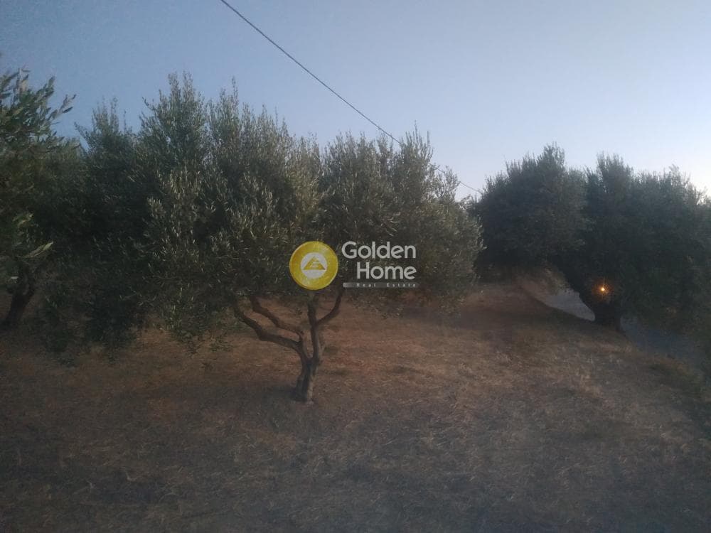 Building Plot in Athanatoi, Temenos — Photo 12 of 12