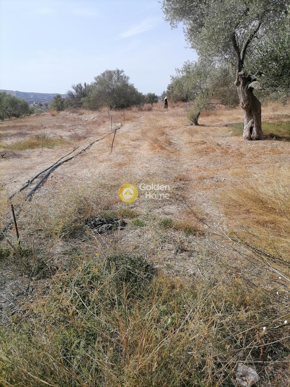 Οικόπεδο στην Καμηλάρι, Τυμπάκι — Φωτογραφία 1 από 25