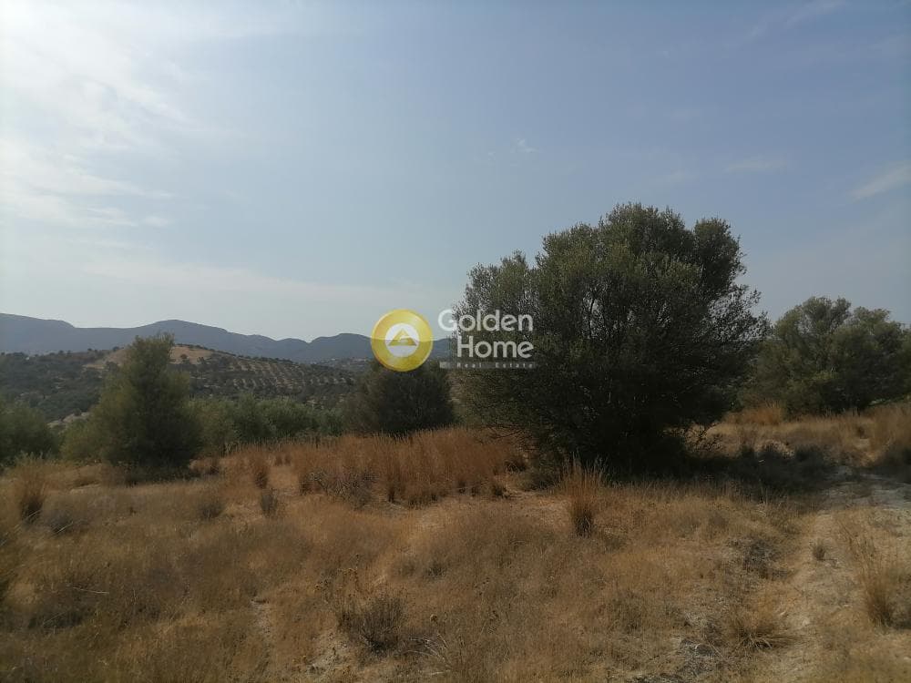 Οικόπεδο στην Καμηλάρι, Τυμπάκι — Φωτογραφία 4 από 25