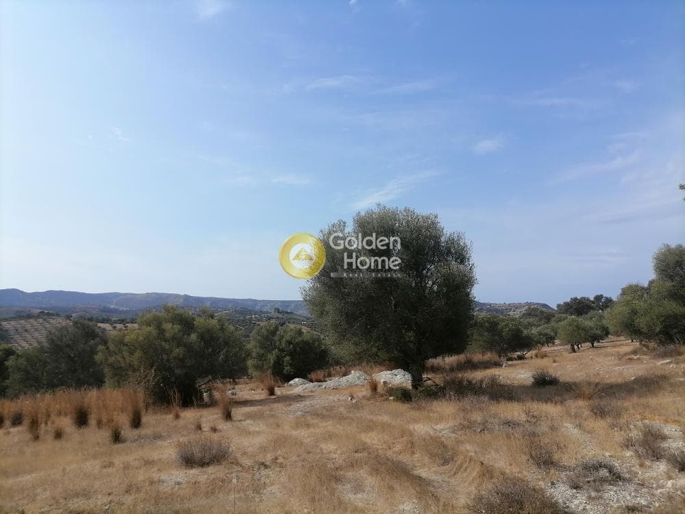 Οικόπεδο στην Καμηλάρι, Τυμπάκι — Φωτογραφία 12 από 25