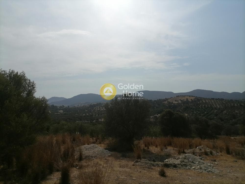 Οικόπεδο στην Καμηλάρι, Τυμπάκι — Φωτογραφία 16 από 25