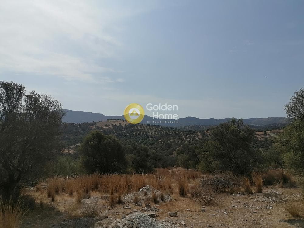 Οικόπεδο στην Καμηλάρι, Τυμπάκι — Φωτογραφία 19 από 25