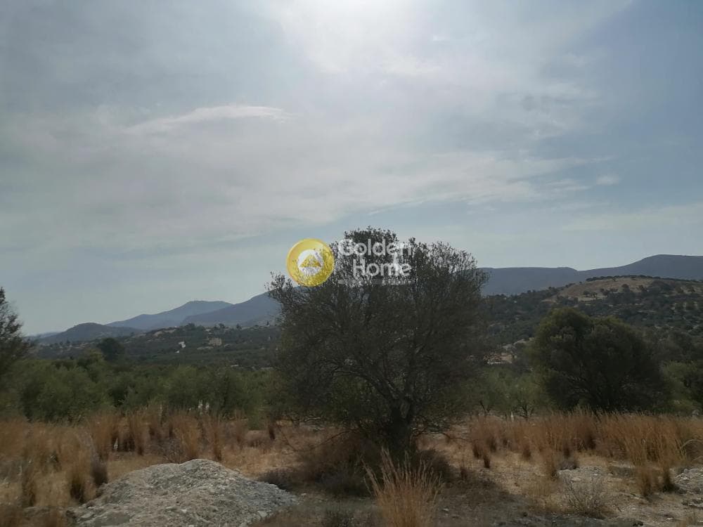 Οικόπεδο στην Καμηλάρι, Τυμπάκι — Φωτογραφία 20 από 25