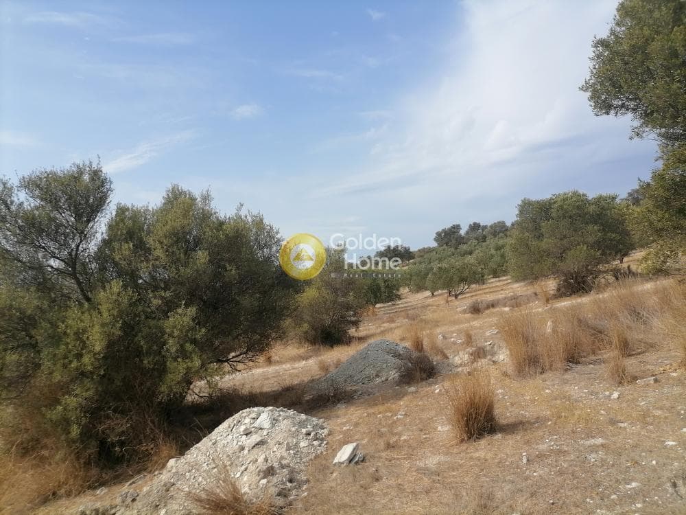 Οικόπεδο στην Καμηλάρι, Τυμπάκι — Φωτογραφία 24 από 25