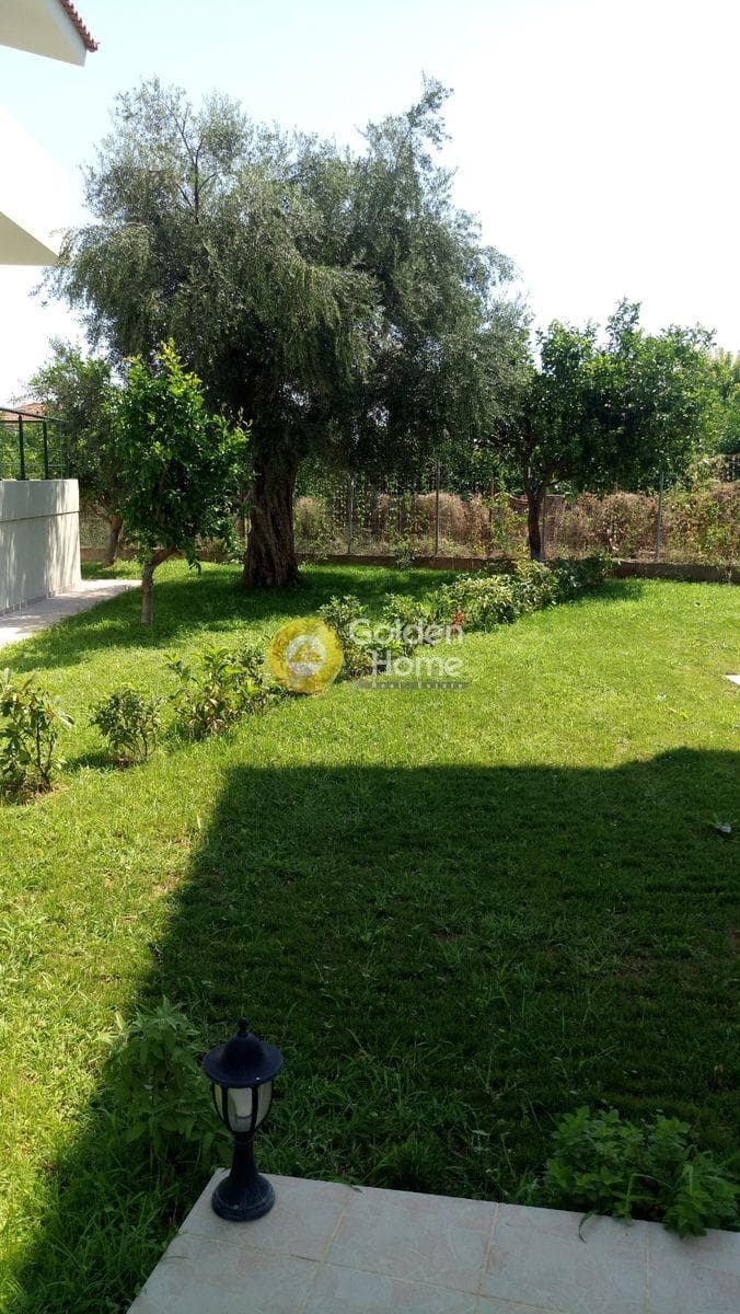 House in Center, Diakopto — Photo 17 of 17