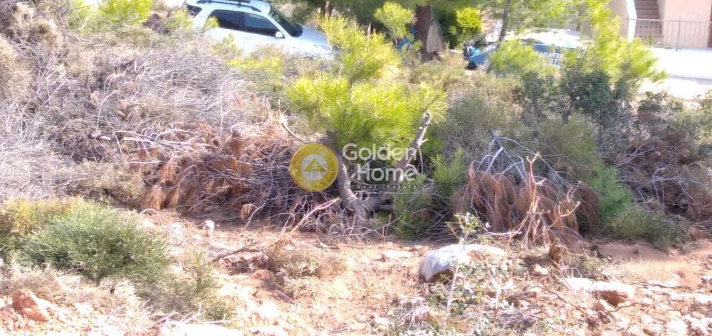 Οικόπεδο στην Δασαμάρι, Πικέρμι — Φωτογραφία 8 από 11