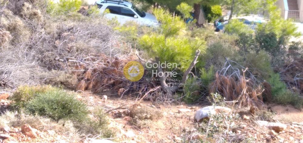 Οικόπεδο στην Δασαμάρι, Πικέρμι — Φωτογραφία 2 από 11