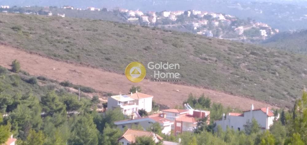 Οικόπεδο στην Δασαμάρι, Πικέρμι — Φωτογραφία 11 από 11