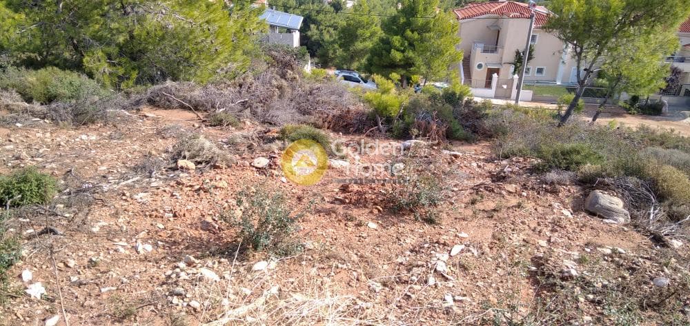Οικόπεδο στην Δασαμάρι, Πικέρμι — Φωτογραφία 9 από 11