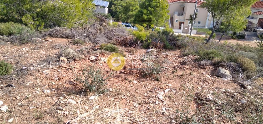 Οικόπεδο στην Δασαμάρι, Πικέρμι — Φωτογραφία 1 από 11