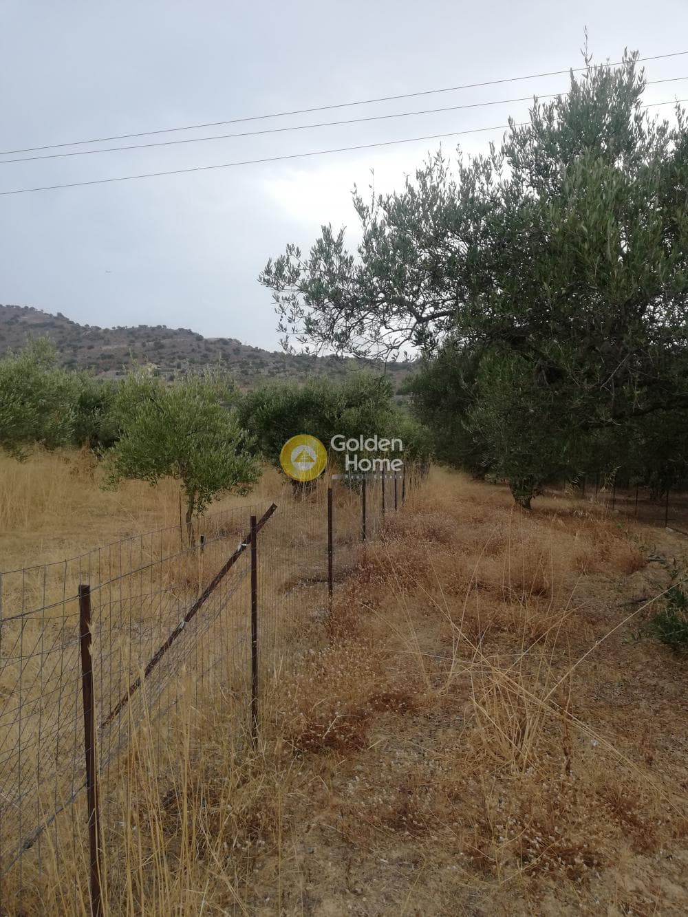 Αγροτεμάχιο στην Κέντρο, Γούβες — Φωτογραφία 10 από 10