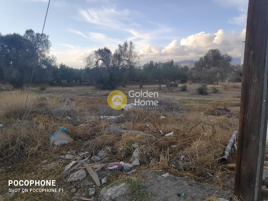Parcel in Kappariana, Moires — Photo 2 of 13