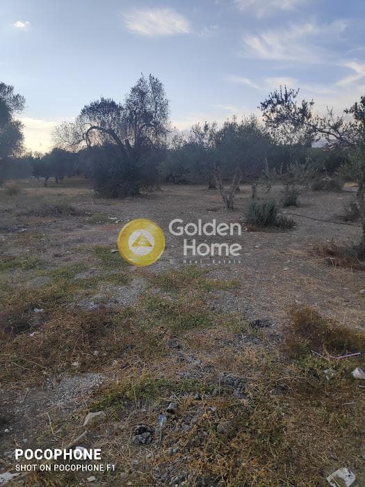 Parcel in Kappariana, Moires — Photo 3 of 13