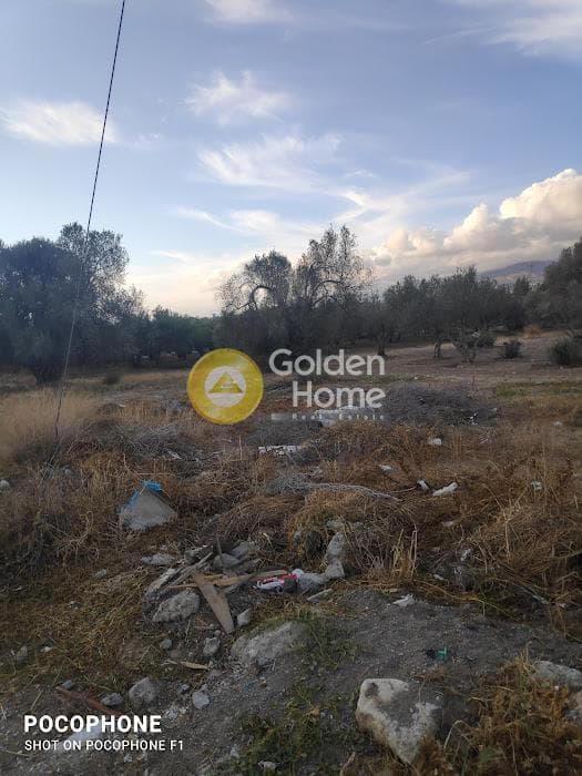 Parcel in Kappariana, Moires — Photo 9 of 13