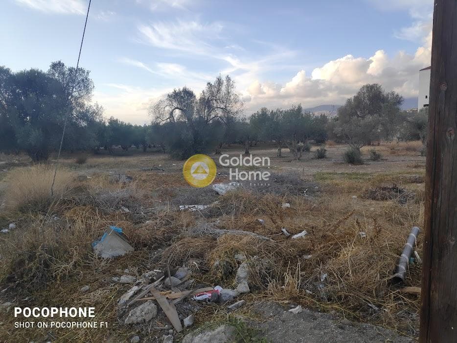 Parcel in Kappariana, Moires — Photo 11 of 13