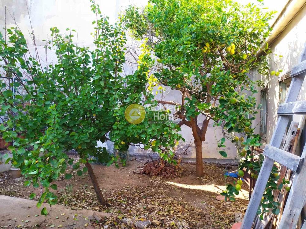 Building Plot in Agios Dimitrios (t. Karamanli Metochi), Heraclion Cretes — Photo 1 of 12
