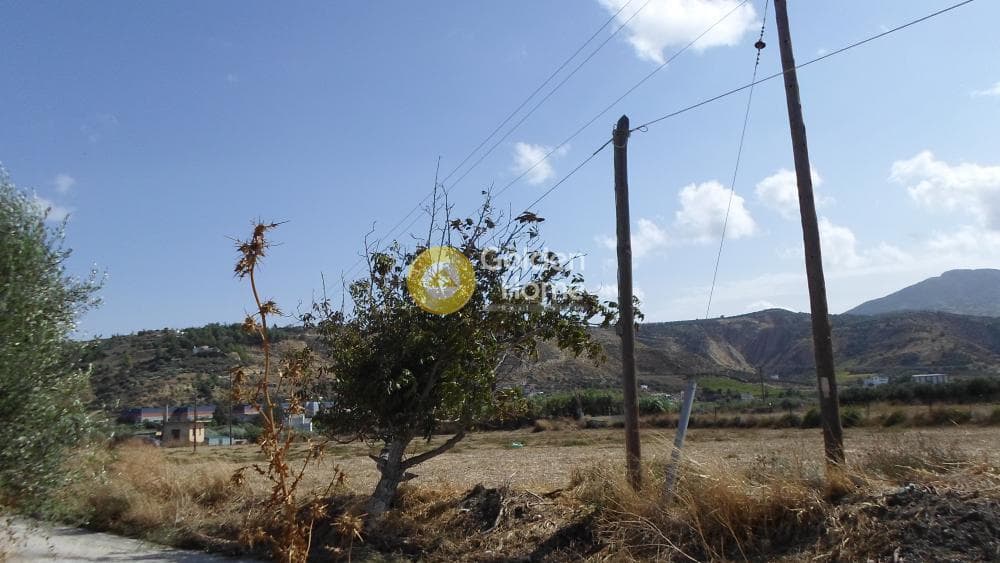 Οικόπεδο στην Κουνάβοι, Αρχάνες — Φωτογραφία 4 από 41