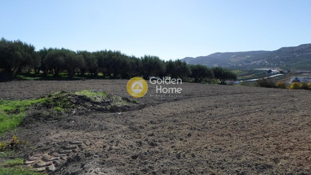 Οικόπεδο στην Κουνάβοι, Αρχάνες — Φωτογραφία 23 από 41