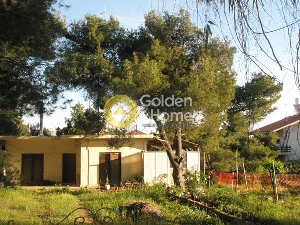 Οικόπεδο στην Ζούμπερι, Νέα Μάκρη — Φωτογραφία 1 από 3