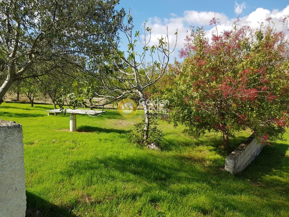House in Manoutso, Keratea — Photo 29 of 44