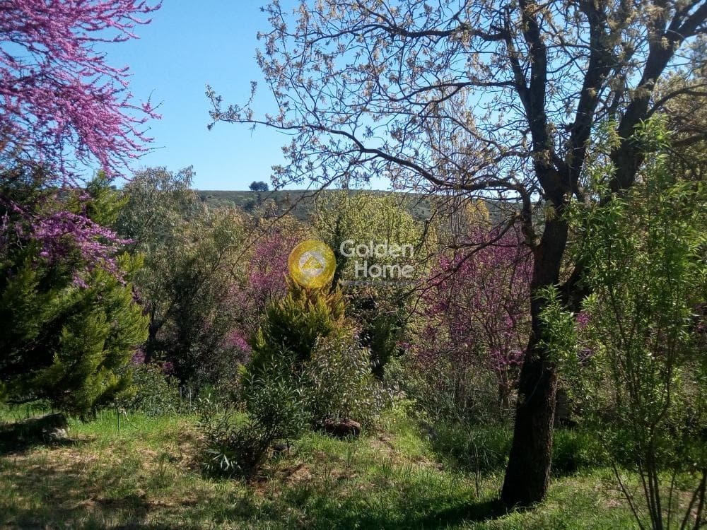House in Mikrochori, Com. Kapandriti — Photo 20 of 23