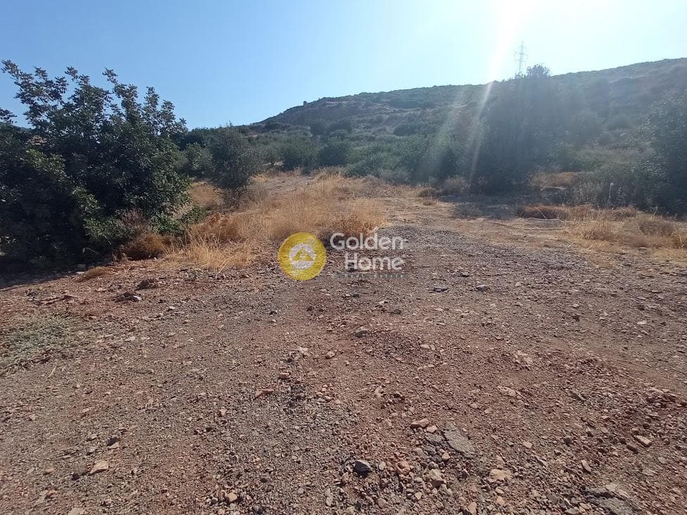 Parcel in Kartsinianos, Mallia — Photo 4 of 8