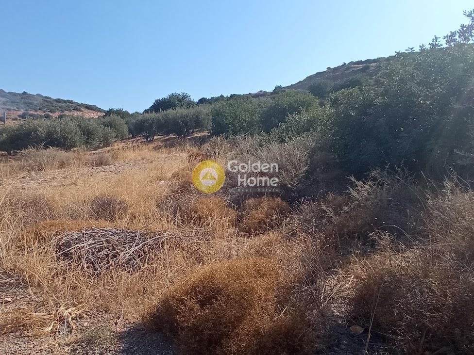 Parcel in Kartsinianos, Mallia — Photo 3 of 8