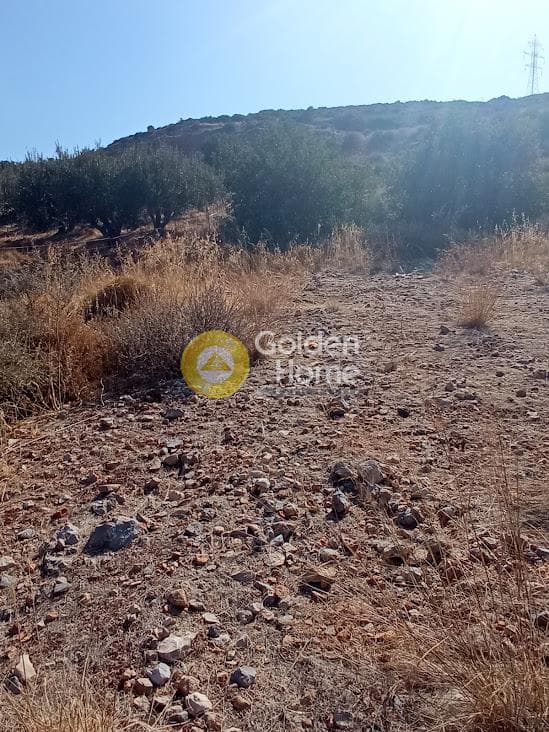 Parcel in Kartsinianos, Mallia — Photo 1 of 8