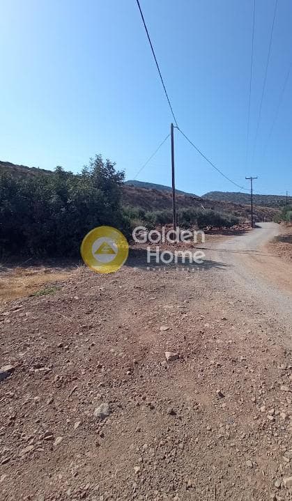 Parcel in Kartsinianos, Mallia — Photo 6 of 8